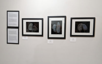 #HappinessErie- AWE Art Gallery Show- Gallery Night, Erie PA