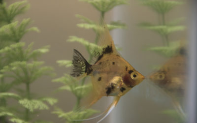 4 Steps to Getting Unstuck in Life and Making Fear Your Friend