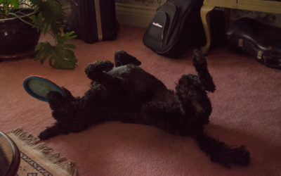 Why my self-love looks different than yours, and why that’s ok- By Guest Blogger Megan Reinbold