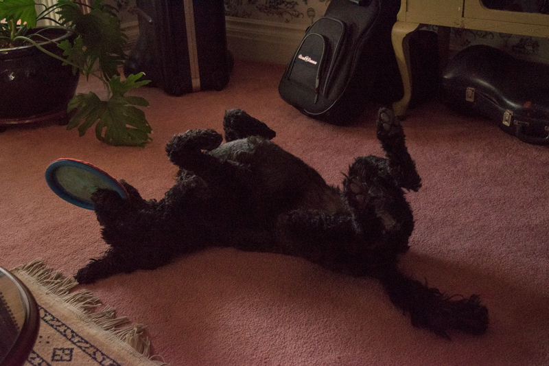 Why my self-love looks different than yours, and why that’s ok- By Guest Blogger Megan Reinbold